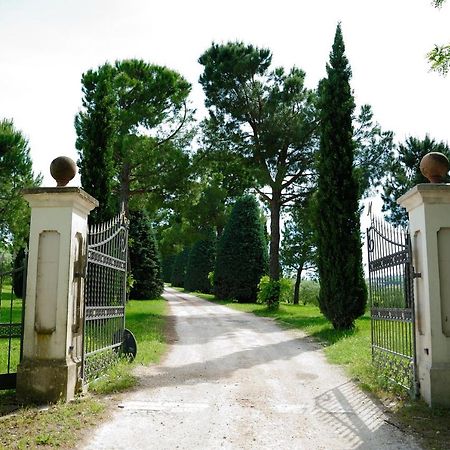 Agriturismo Al Colle 베르티노로 외부 사진