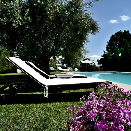 Agriturismo Al Colle 베르티노로 외부 사진