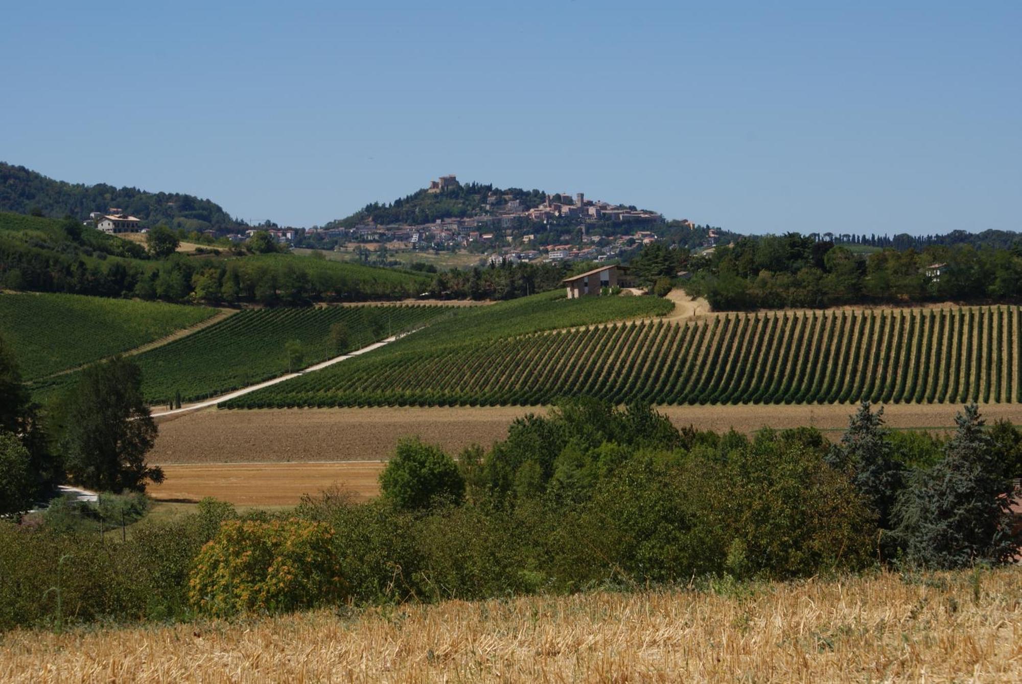 Agriturismo Al Colle 베르티노로 외부 사진