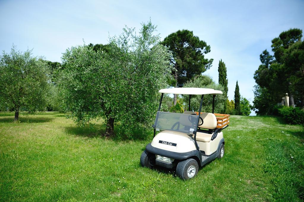Agriturismo Al Colle 베르티노로 외부 사진