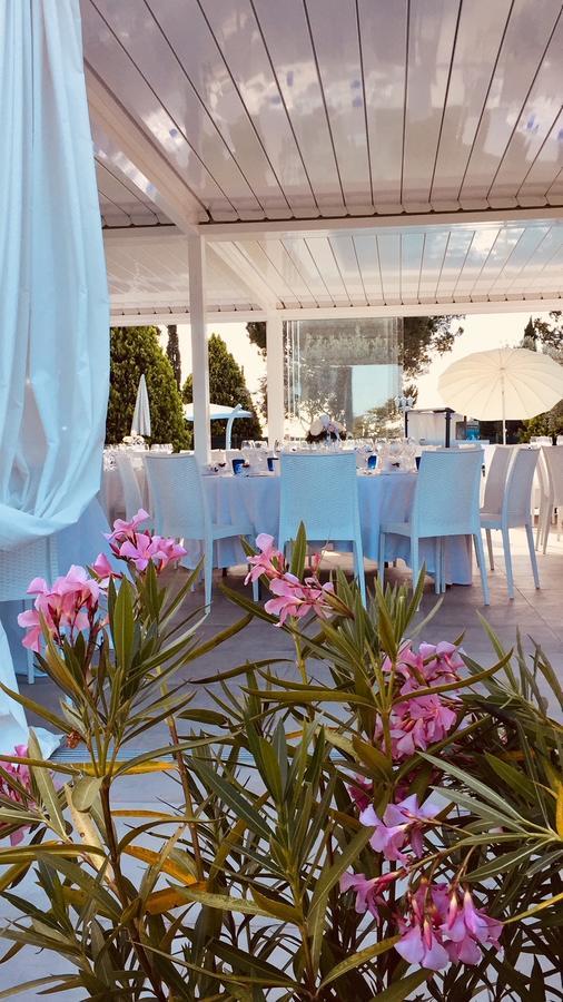 Agriturismo Al Colle 베르티노로 외부 사진