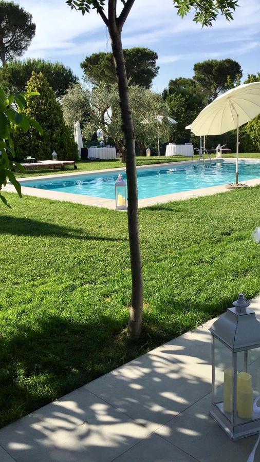 Agriturismo Al Colle 베르티노로 외부 사진