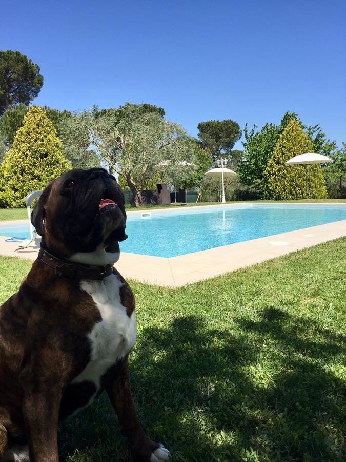 Agriturismo Al Colle 베르티노로 외부 사진